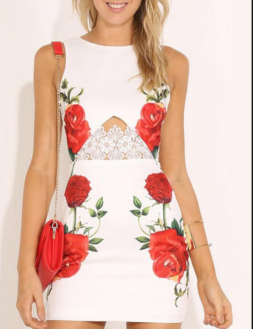 CULTIVATE ONE'S MORALITY PRINTED LACE DRESS RED FLOWER DRESS