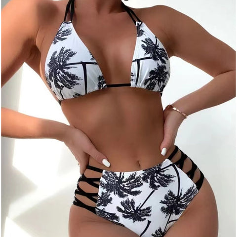 DS DM8820 Stylish women's separate swimsuit