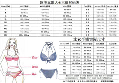 3050 Stylish women's separate swimsuit