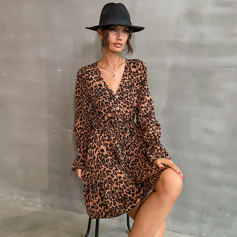 Women's Fashion Spring Women's Long Sleeve V-Neck Leopard Print Dress