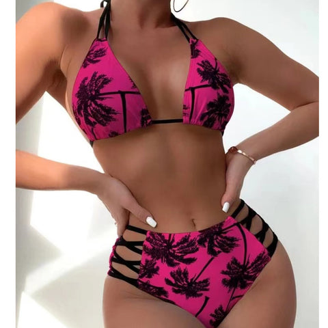 DS DM8820 Stylish women's separate swimsuit