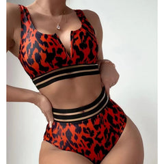 DS DM 8813 Stylish women's separate swimsuit