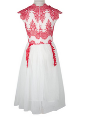 FASHION LACE HOT DRESS