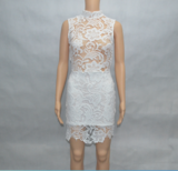 HOT LACE SHOW BODY ELEGANT FASHION DRESS